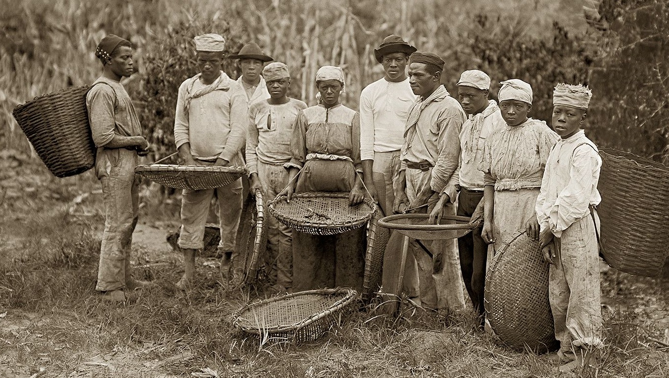 Brazilian coffee farm historic photo